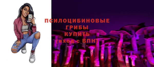 a pvp Козельск