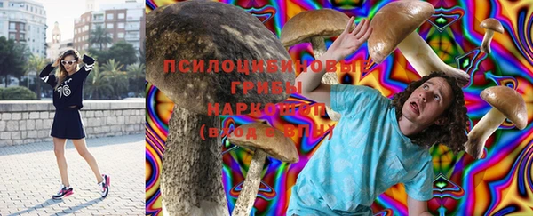 a pvp Козельск