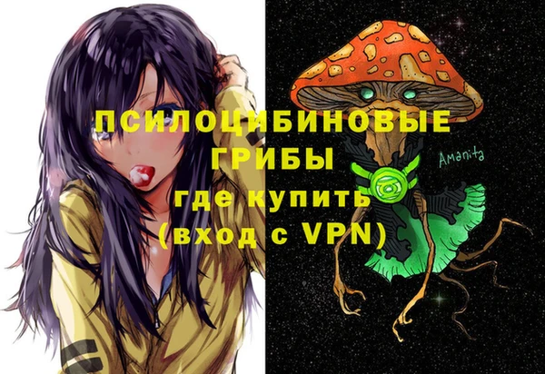 гидропоника Кодинск