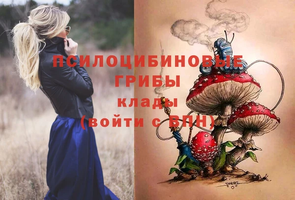гидропоника Кодинск