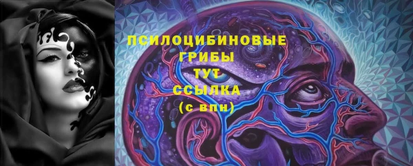 гидропоника Кодинск